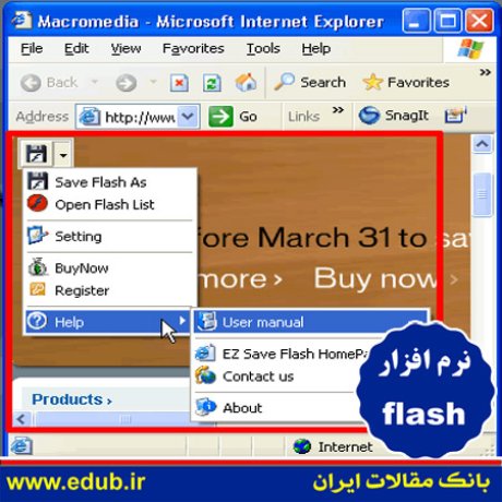 نرم افزار ذخیره فایل های فلش اینترنت EZ Save Flash