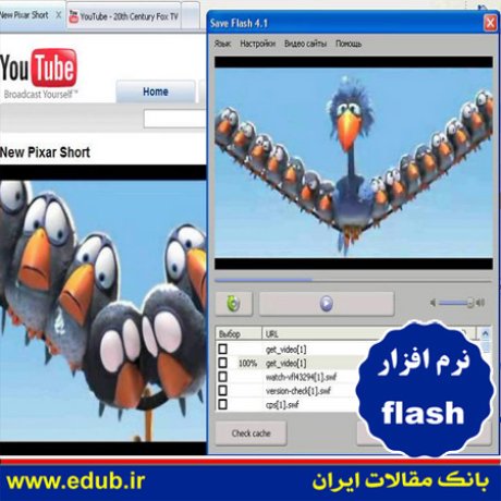 نرم افزار دریافت فایل های فلش از صفحات وب Save Flash 4.1 Buil