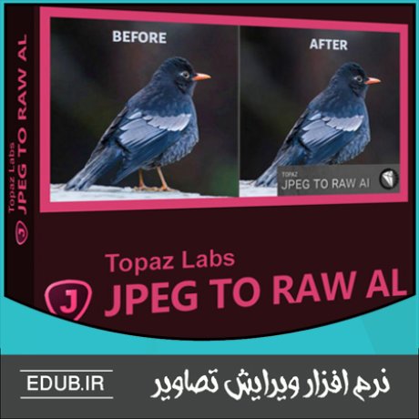 نرم افزار تبدیل عکس با فرمت JPEG به فرمت RAW - Topaz JPEG to RAW AI 