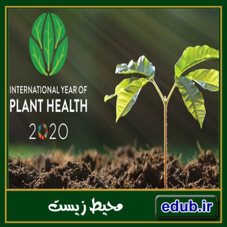 سال ۲۰۲۰؛ سال سلامت گیاهان