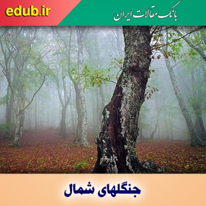 معرفی زیباترین جنگل‌های شمال ایران